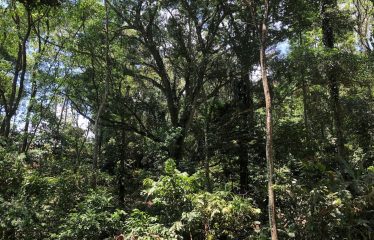 Finca Retreat