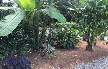 JARRY’S HOUSE