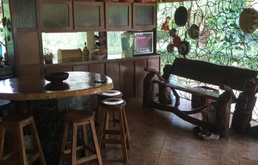 Kamelia’s House