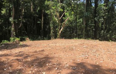 Finca Retreat