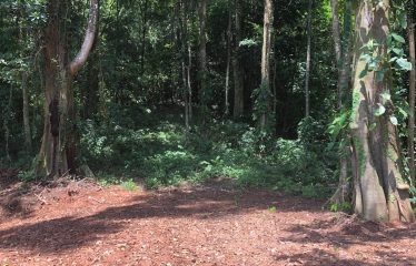 Finca Retreat