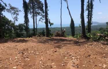 Finca Retreat
