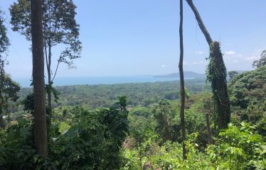 Finca Retreat