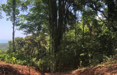 Finca Retreat