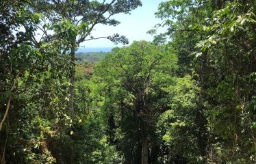 Finca Retreat