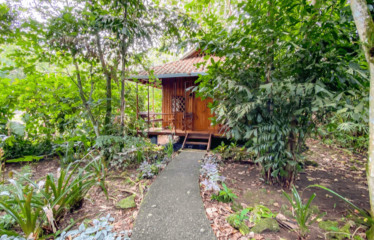 Cahuita B&B – Price Lowered For A Quick Sale