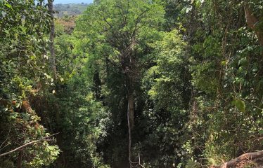 Finca Retreat