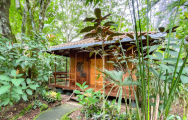 Cahuita B&B – Price Lowered For A Quick Sale