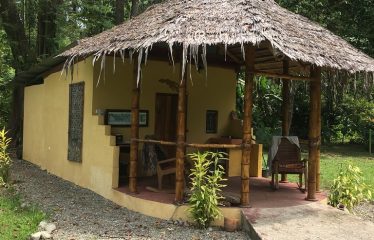 Kamelia’s House
