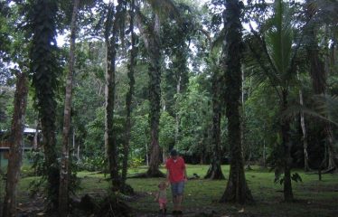 Casa Avatar
