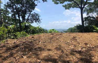 Finca Retreat