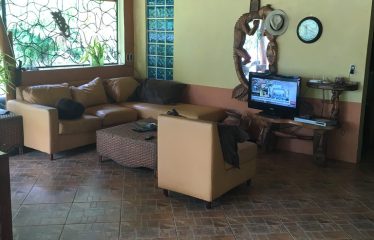 Kamelia’s House