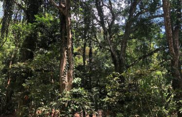 Finca Retreat