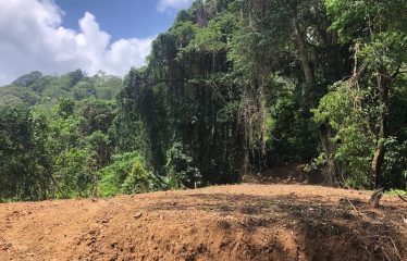 Finca Retreat