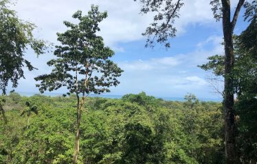 Ocean View Property With Potencial For Hotel Ro B&B