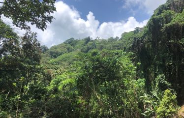 Finca Retreat