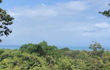 Ocean View Property With Potencial For Hotel Ro B&B