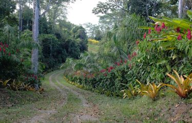 Sustainable And Off-Grid  Properties – Lot # 37-2