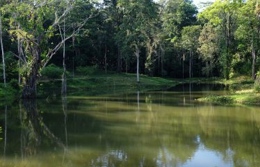 Sustainable And Off-Grid  Properties – Lot # 37-2