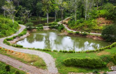 Sustainable And Off-Grid  Properties – Lot # 37-2