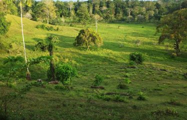 Sustainable And Off-Grid  Properties – Lot # 37-2