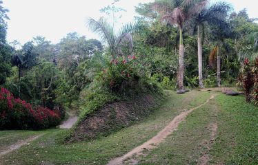 Sustainable And Off-Grid  Properties – Lot # 37-2