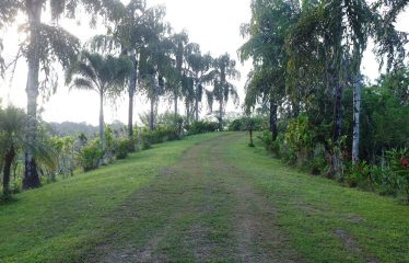 Sustainable And Off-Grid  Properties – Lot # 37-2