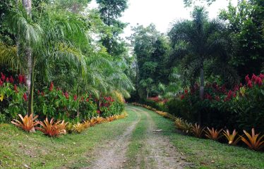 Sustainable And Off-Grid  Properties – Lot # 37-2