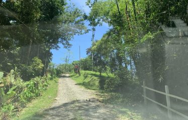 Lote Laguna