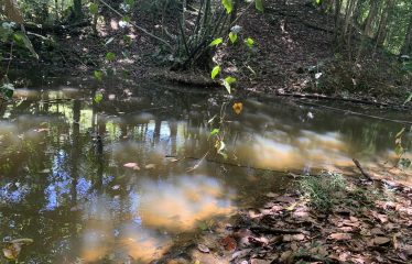 Lote Laguna