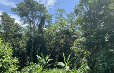 Lote Laguna