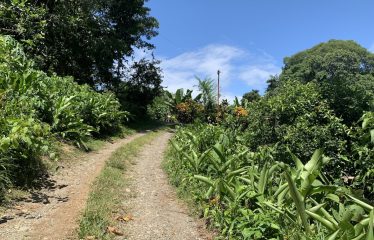 Lote Laguna