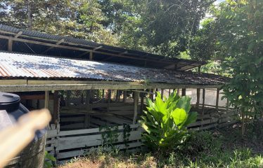 Property With Potencial For Permaculture And Hostel