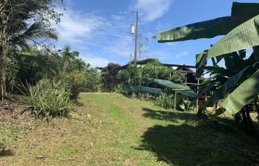 Property With Potencial For Permaculture And Hostel