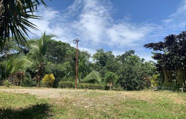 Property With Potencial For Permaculture And Hostel