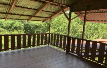 Property With Potencial For Permaculture And Hostel