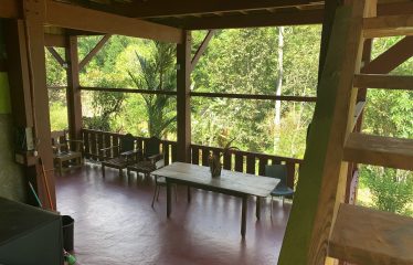 Property With Potencial For Permaculture And Hostel
