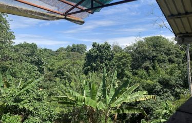 Property With Potencial For Permaculture And Hostel