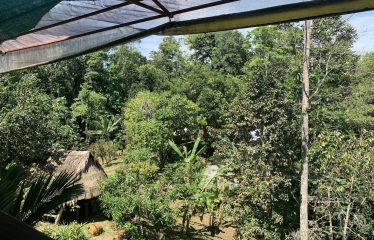 Property With Potencial For Permaculture And Hostel
