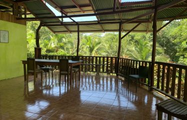 Property With Potencial For Permaculture And Hostel