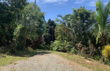 Property With Potencial For Permaculture And Hostel