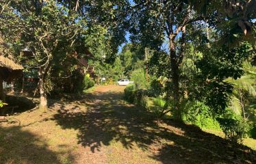 Property With Potencial For Permaculture And Hostel
