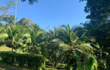 Property With Potencial For Permaculture And Hostel