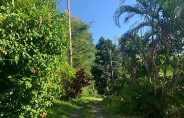 Property With Potencial For Permaculture And Hostel