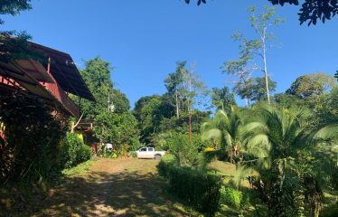 Property With Potencial For Permaculture And Hostel