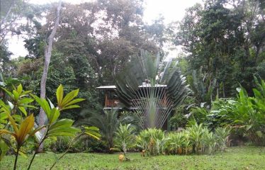 Casa Avatar