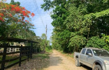 Finca Cacao