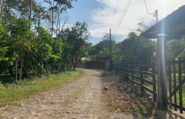Finca Cacao